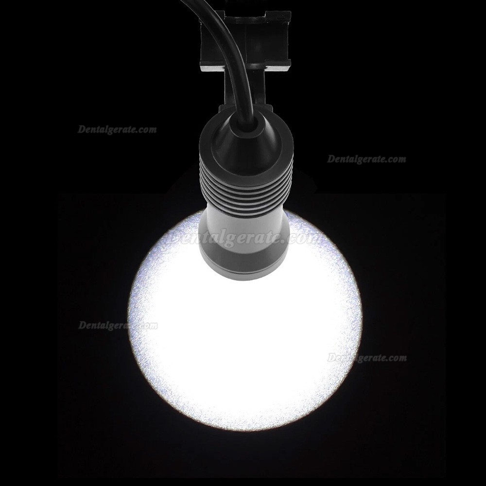 Dental-Binokularlupe 3,5-fach mit 5 W LED-Licht und Filter